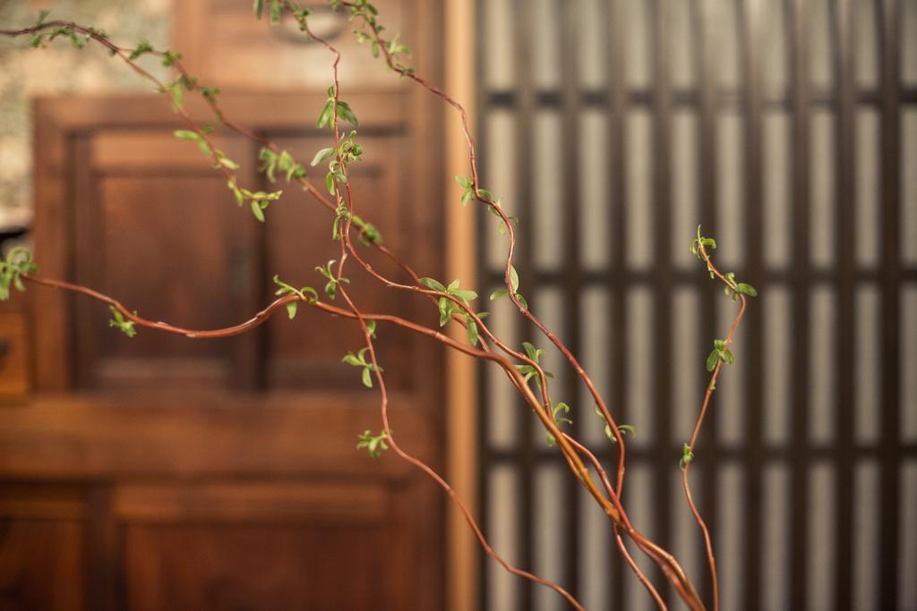 Araiya Tokyo -Private Townhouse- Villa Bagian luar foto